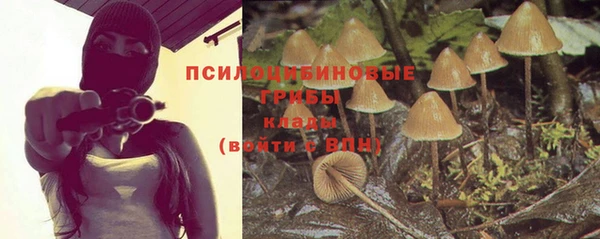 прущая мука Алексин