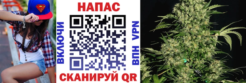 купить наркотик  Шатура  Канабис индика 